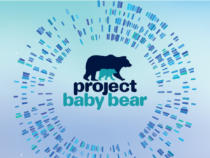 Project Baby Bear logo