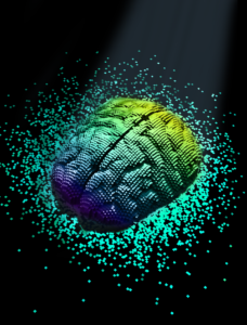 Digital brain model