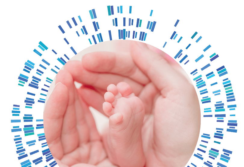 hands cradling infant foot