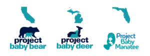 logos for Project Baby Bear (California Medi-Cal), Project Baby Deer (Michigan Medicaid), and Project Baby Manatee (Florida Medicaid)